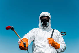 Real Estate Pest Inspections in North Shore, CA